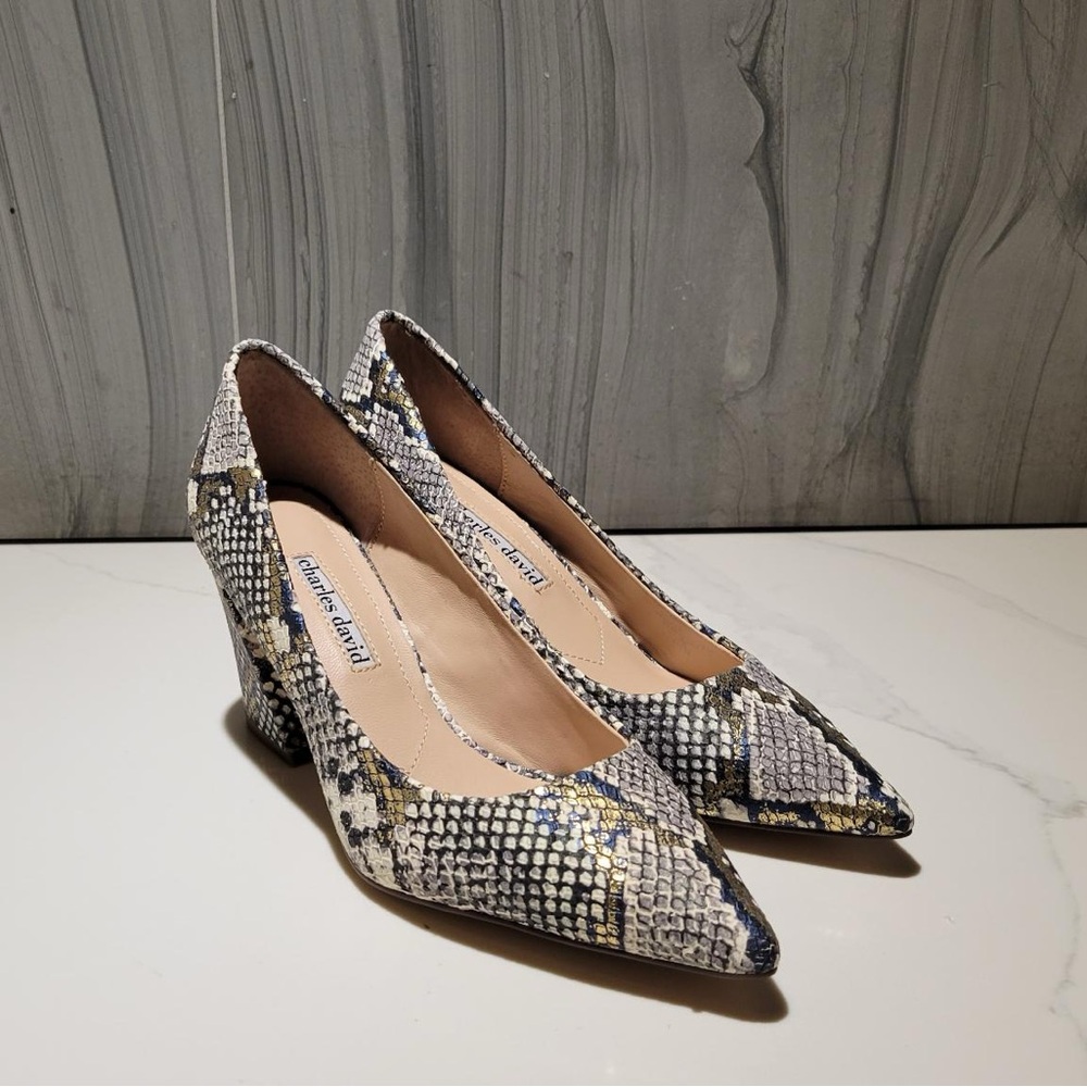 ✨ NEW✨ Charles David Pointed Toe Block Heel Pumps with Gold Details Size 6.5